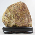 Brazilian Amethyst Cluster