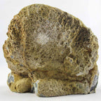 Uruguayan Amethyst Geode
