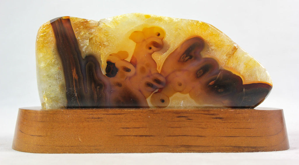 Brazilian Agate Endcap