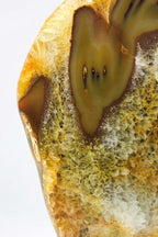 Brazilian Agate Slab
