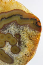 Brazilian Agate Slab