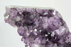 Brazilian Amethyst Cluster