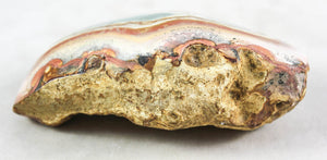 Polychrome Jasper