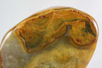 Brazilian Polished Agate