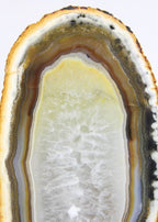 Brazilian Agate Endcap
