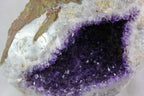 Brazilian Amethyst Geode