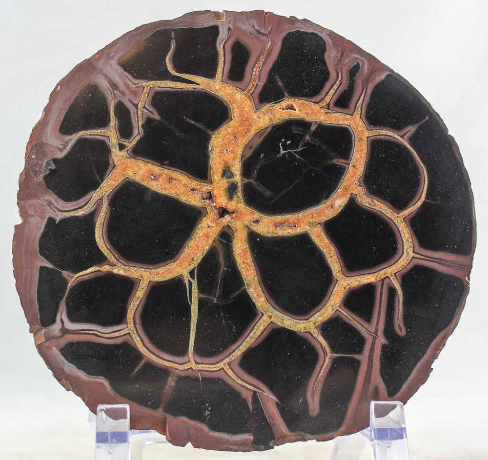Septarian Nodule