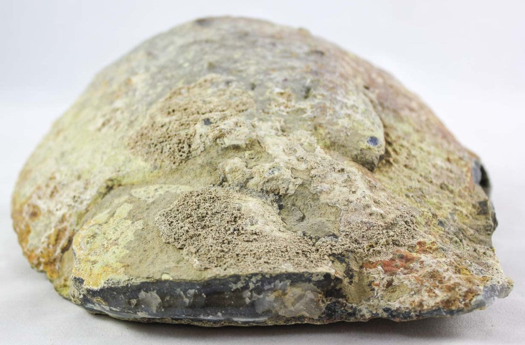 Brazilian Agate/Quartz Geode