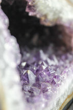 Brazilian Amethyst Geode