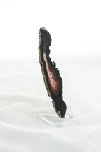 Brazilian Agate Slice