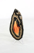 Brazilian Agate Slice