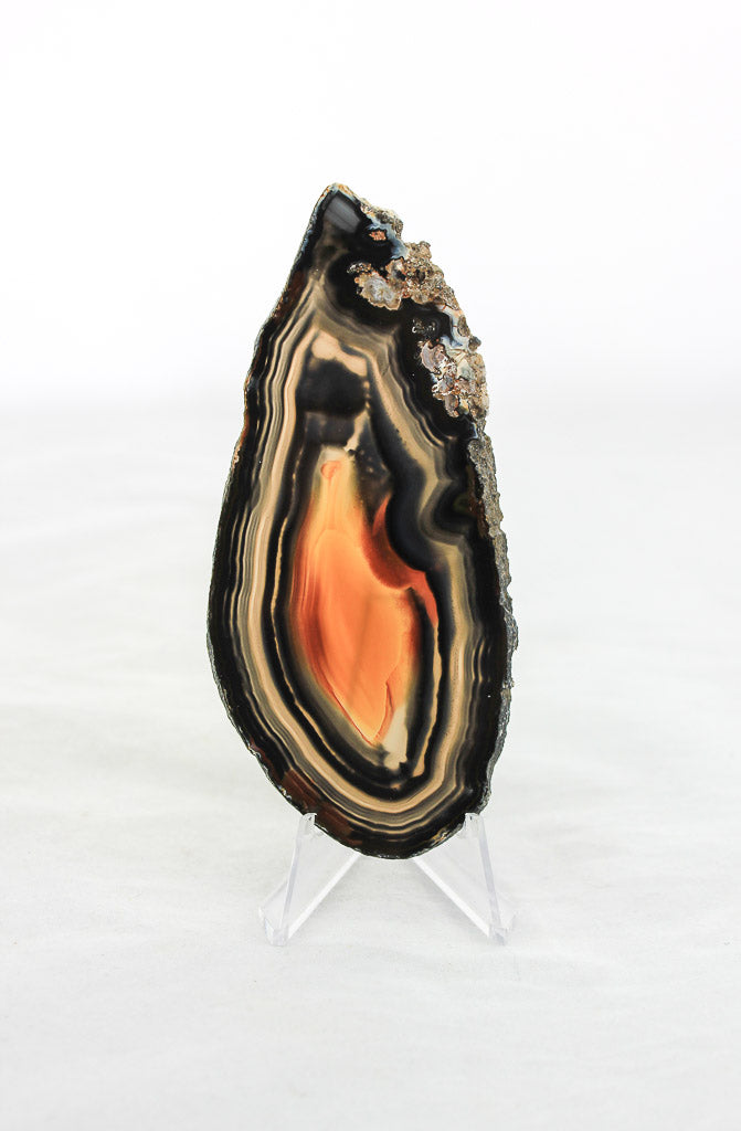 Brazilian Agate Slice