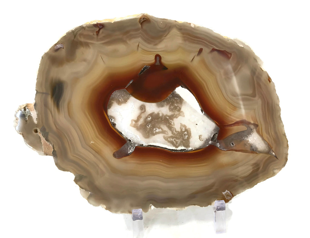 Red Centered Agate Slice