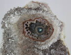Uruguayan Amethyst w/ Eyes