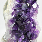 Brazilian Amethyst Cluster