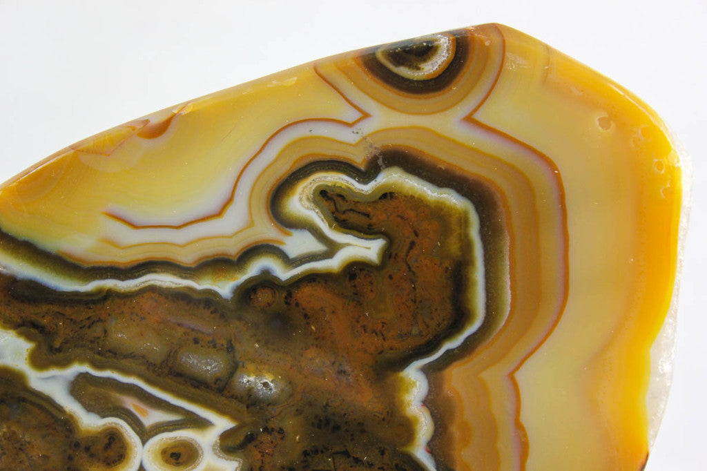 Brazilian Agate Endcap