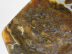 Brazilian Agate Endcap