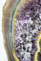 Brazilian Amethyst w/ Eyes