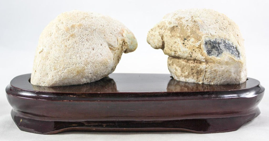 Waterline Agate Pair w/ Crystal