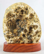 Brazilian Agate w/ Crystal