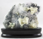 Brazilian Amethyst Flower