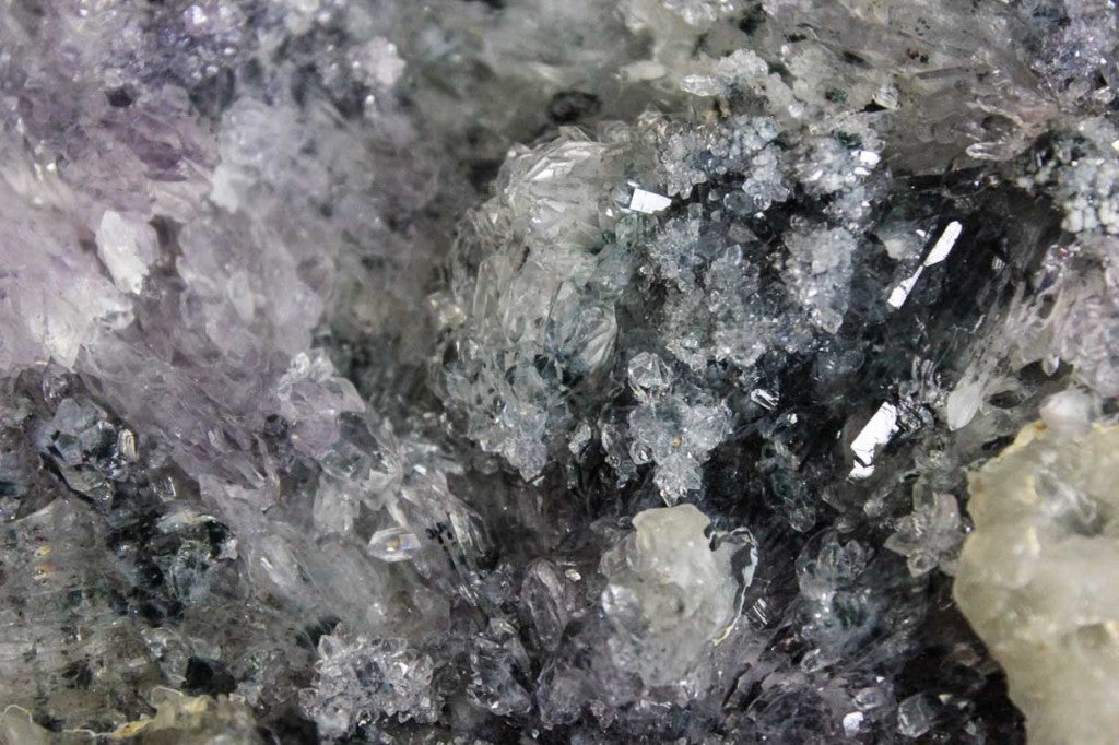 Brazilian Amethyst Flower