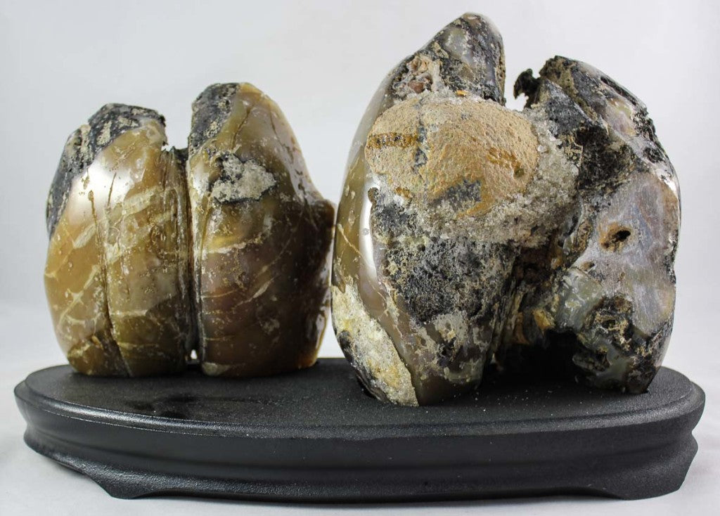 Polished Agate Geode Pair