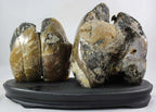 Polished Agate Geode Pair