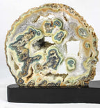 Brazilian Agate Geode Pair