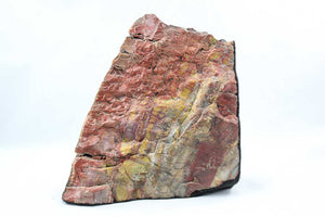 Arizona Petrified Wood