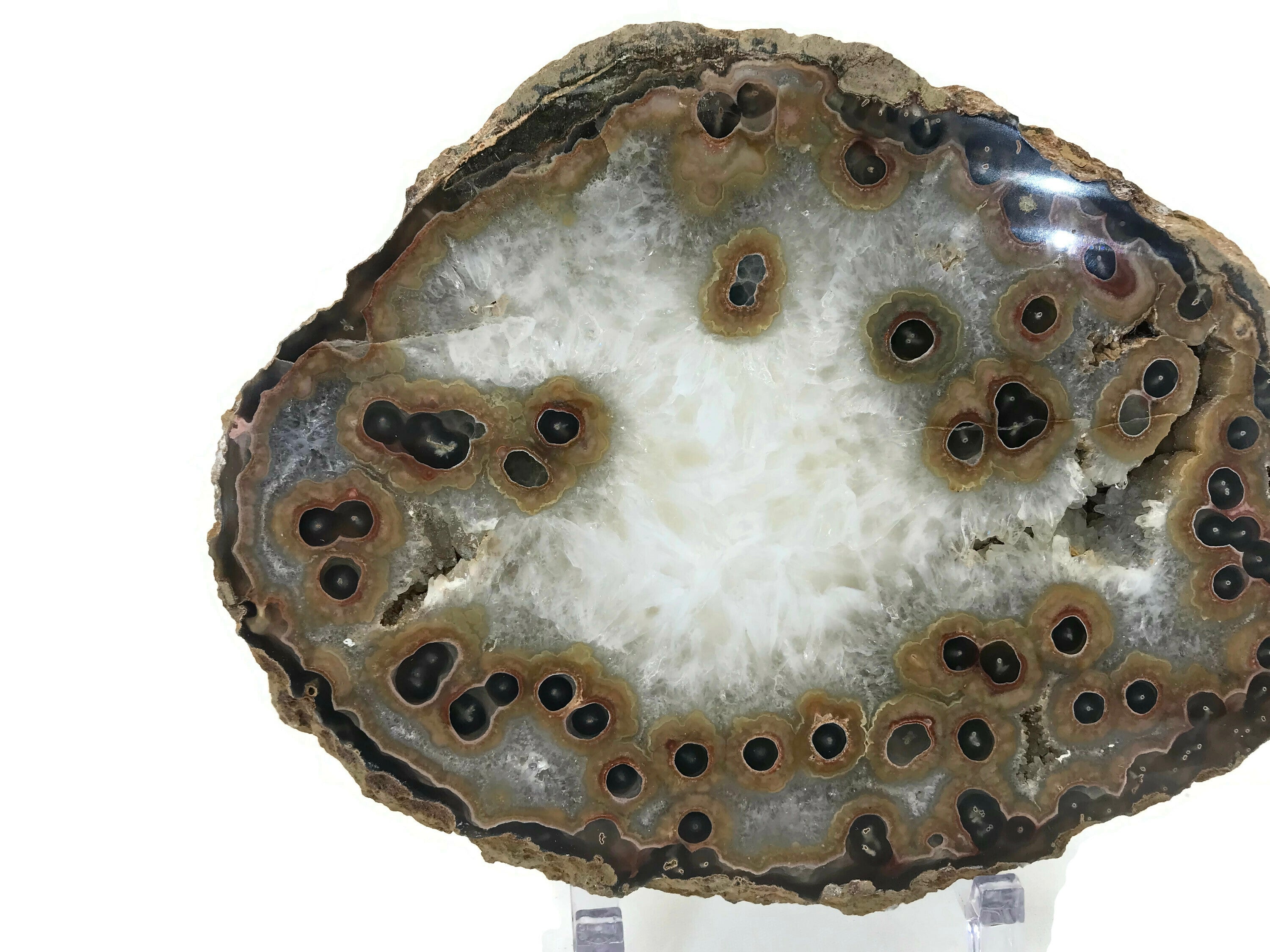Dramatic Eyed Agate Endcap