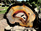 Crystal Lined Agate Slice