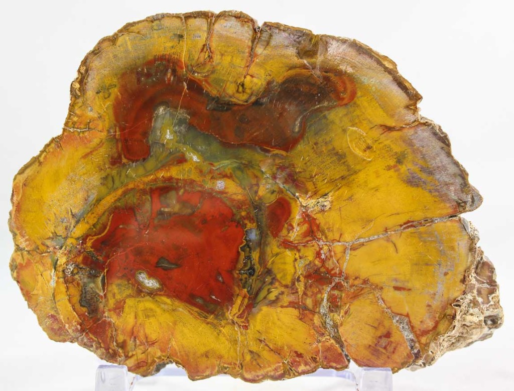 Brazilian Amethyst Cluster