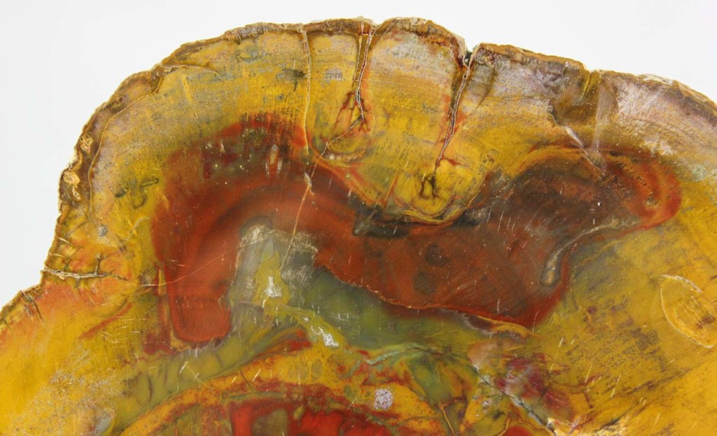 Brazilian Amethyst Cluster