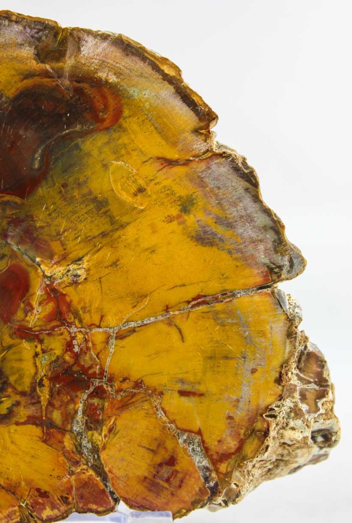 Brazilian Amethyst Cluster