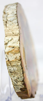 Brazilian Amethyst Cluster