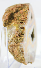 Brazilian Agate Geode