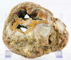 Brazilian Agate Geode