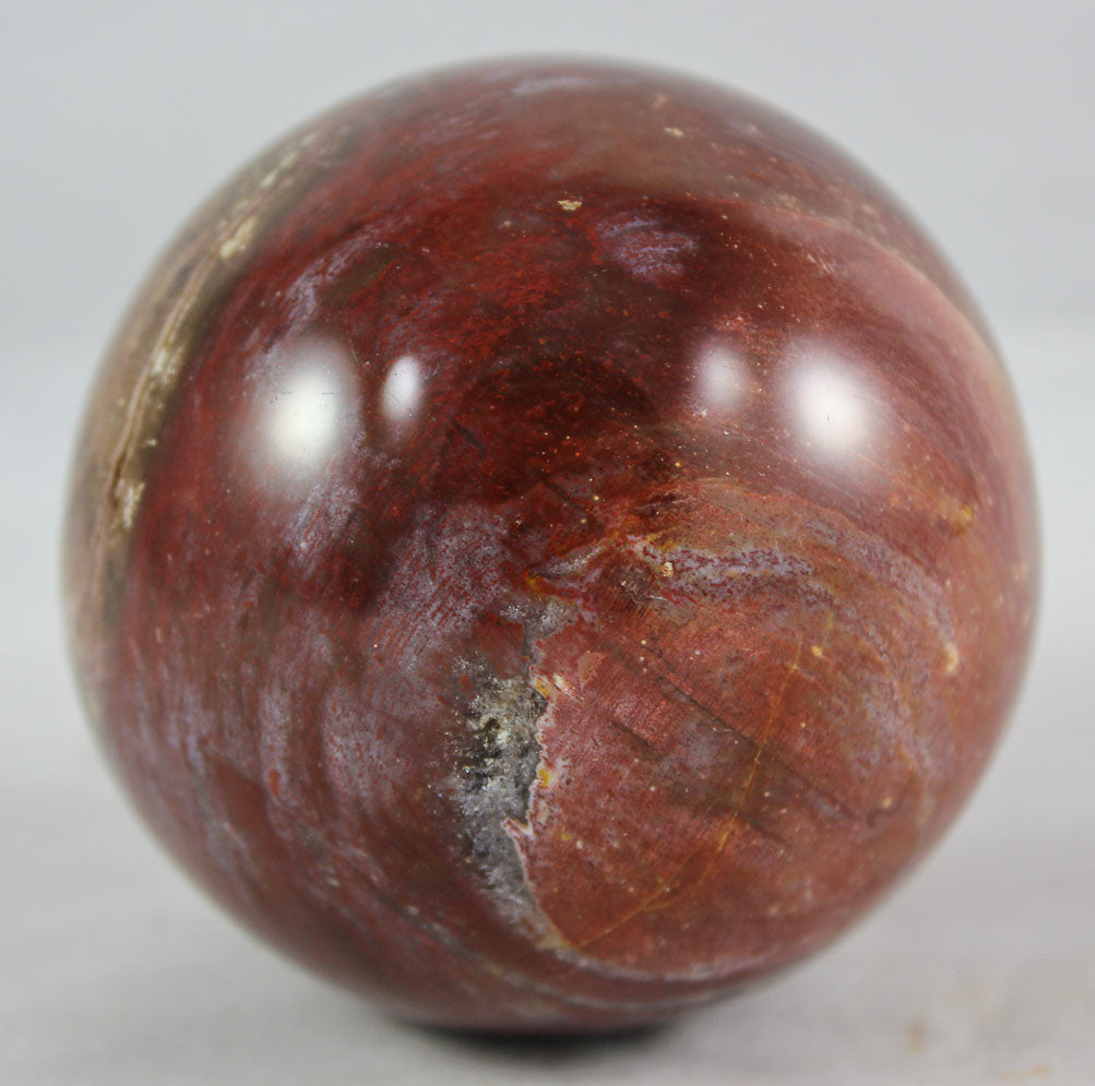 Petrified Wood Sphere