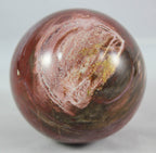 Petrified Wood Sphere