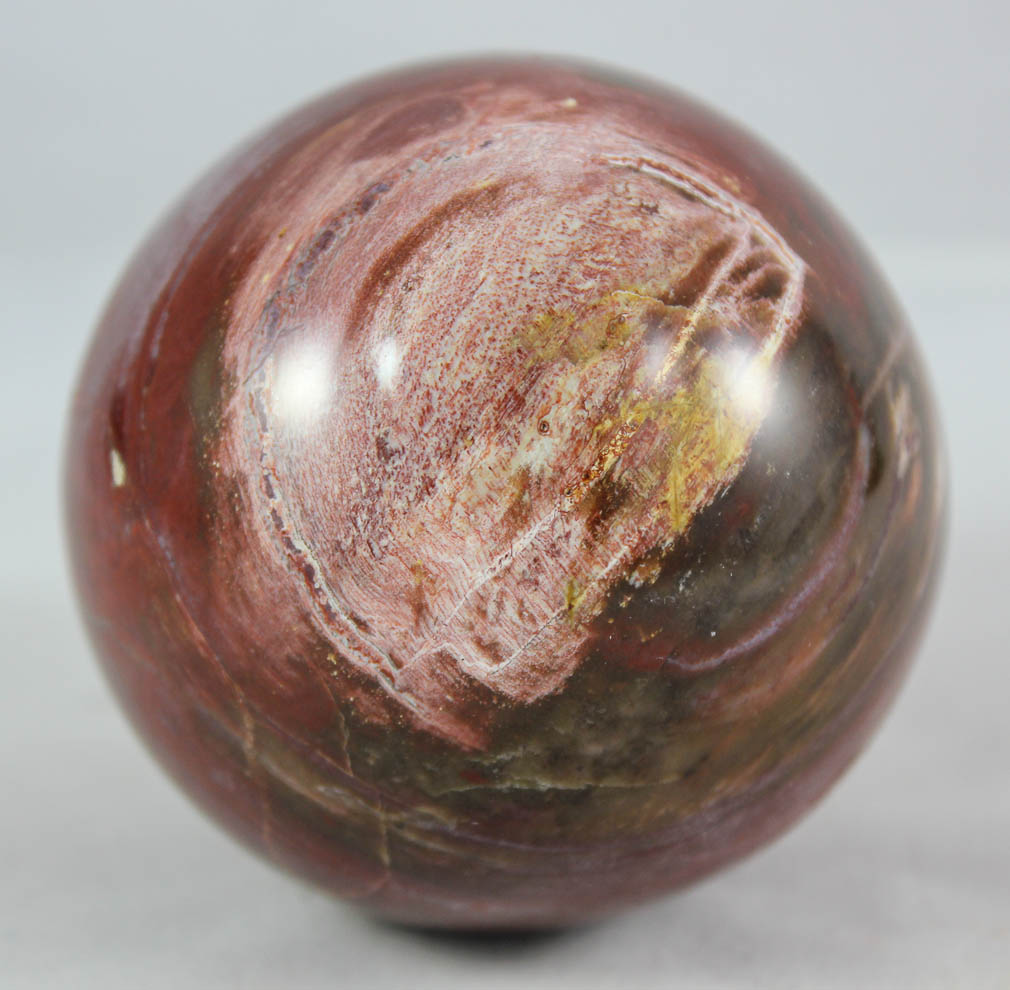 Petrified Wood Sphere