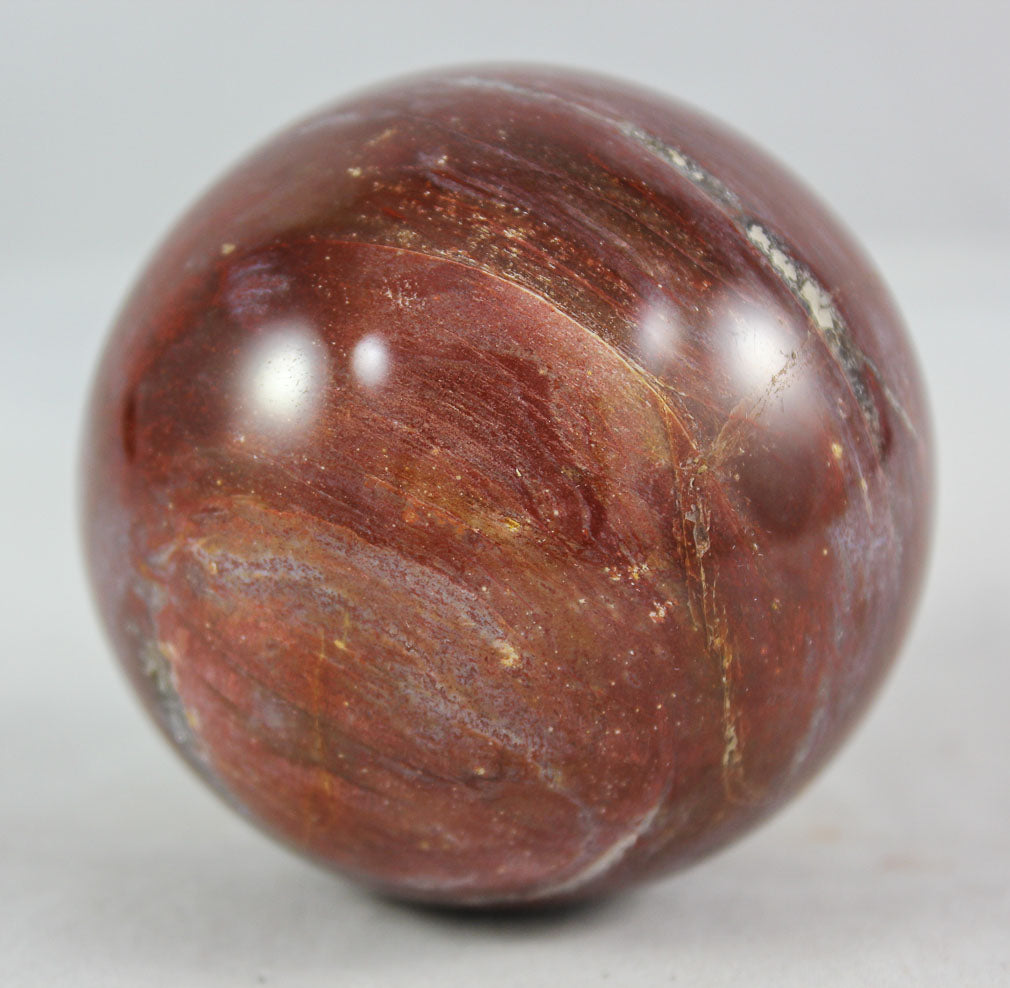 Petrified Wood Sphere