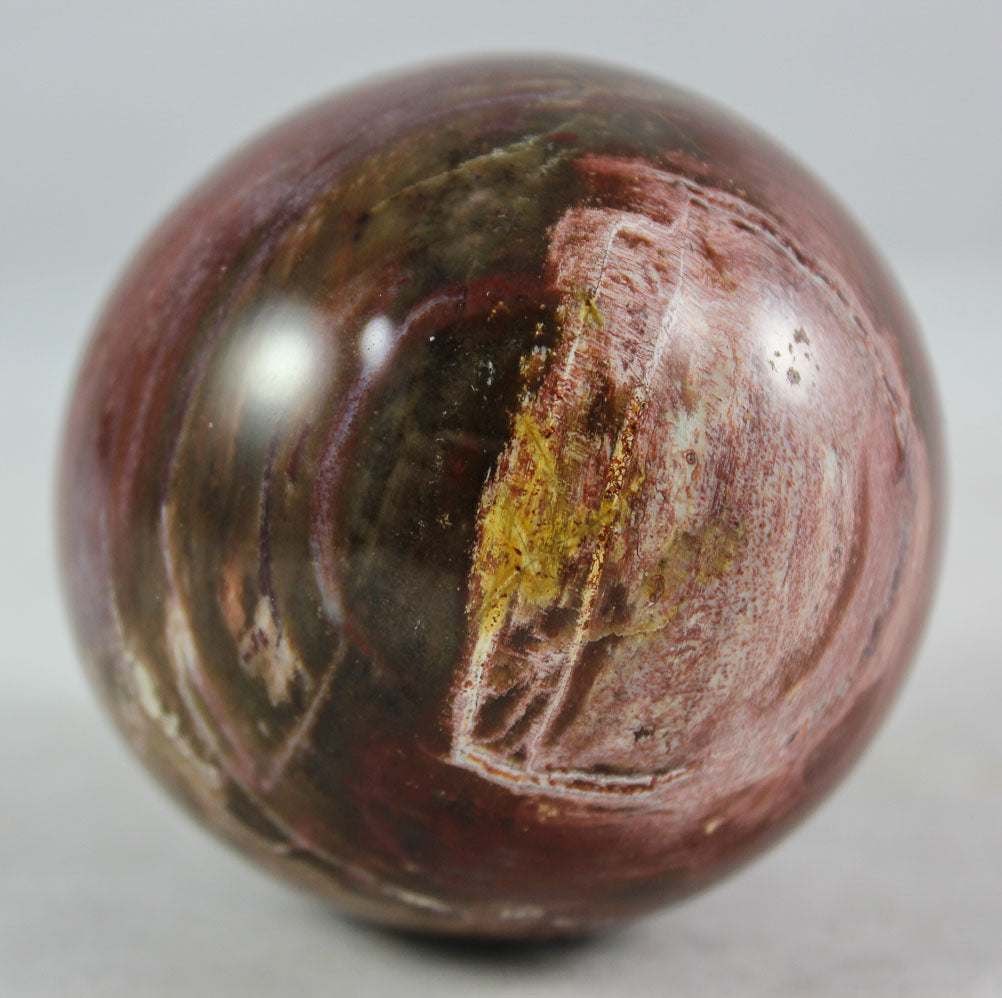 Petrified Wood Sphere