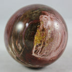 Petrified Wood Sphere