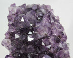 Brazilian Amethyst Cluster