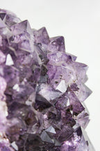Brazilian Amethyst Cluster