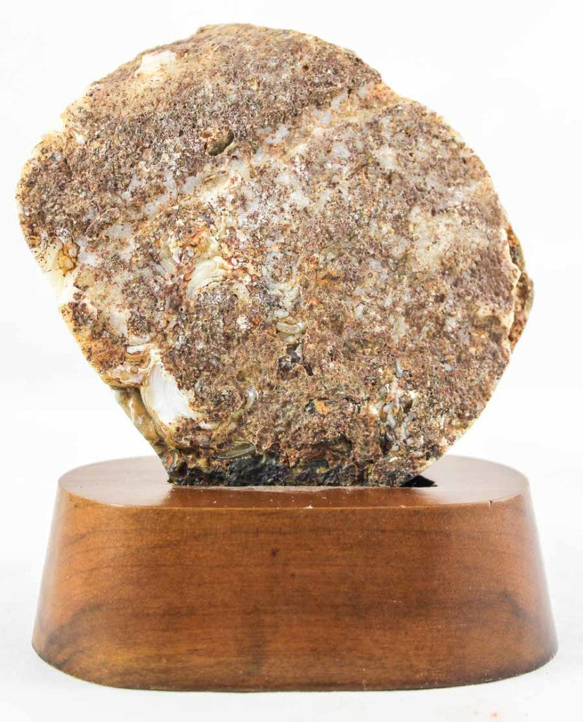 Brazilian Agate w/ Crystal