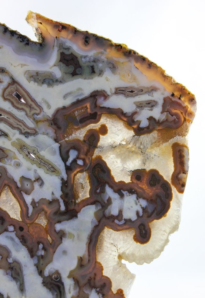 Brazilian Agate Slab