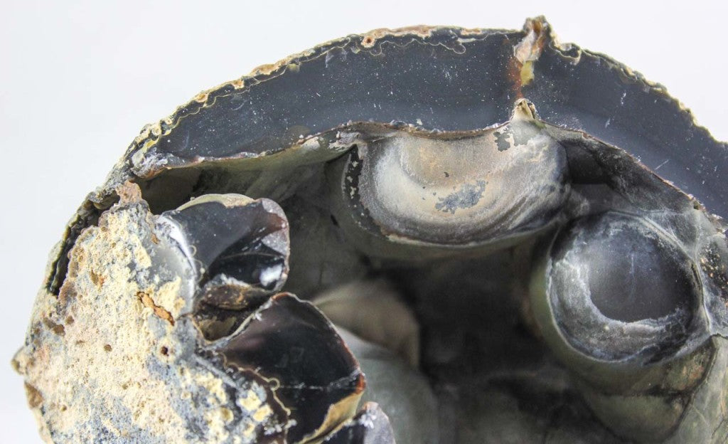 Brazilian Agate Geode
