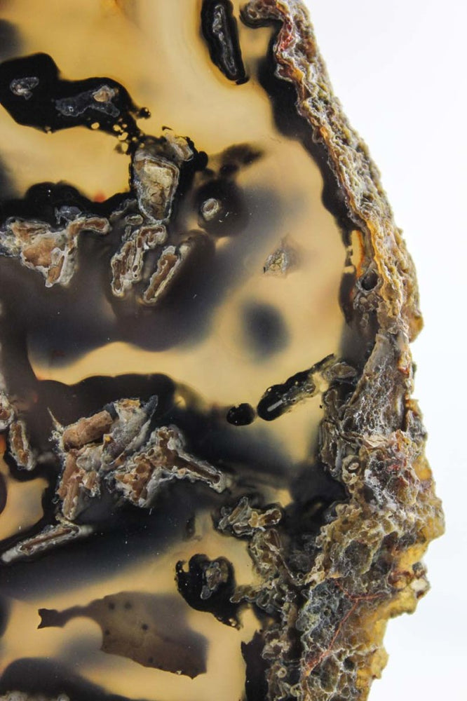 Brazilian Agate Slab
